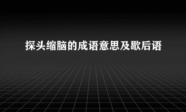 探头缩脑的成语意思及歇后语