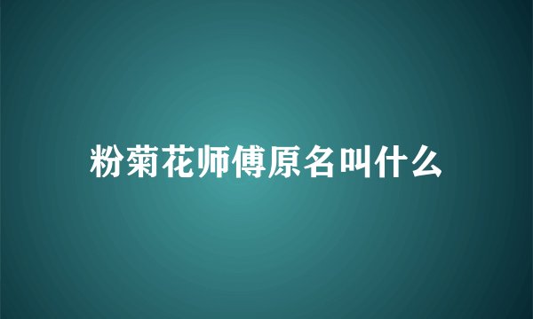 粉菊花师傅原名叫什么