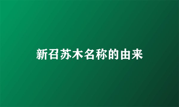 新召苏木名称的由来