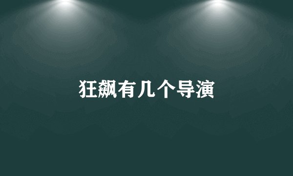 狂飙有几个导演
