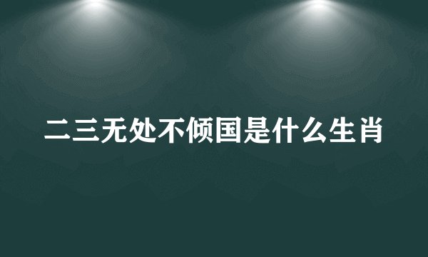 二三无处不倾国是什么生肖