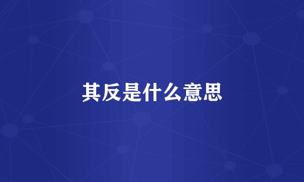 其反是什么意思