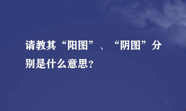 请教其“阳图”、“阴图”分别是什么意思？