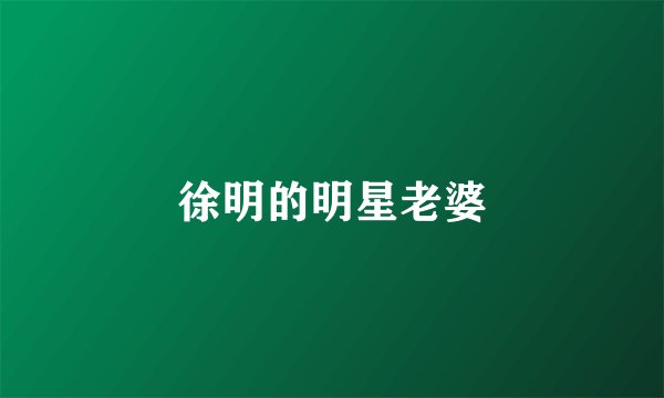 徐明的明星老婆