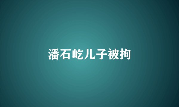 潘石屹儿子被拘