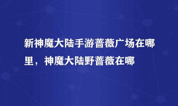 新神魔大陆手游蔷薇广场在哪里，神魔大陆野蔷薇在哪