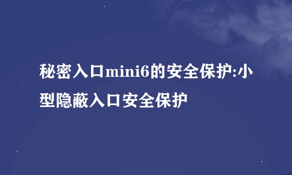 秘密入口mini6的安全保护:小型隐蔽入口安全保护
