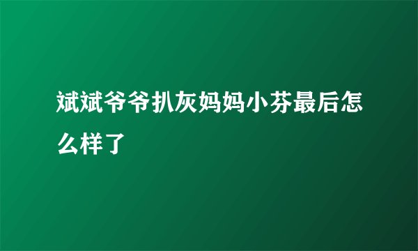 斌斌爷爷扒灰妈妈小芬最后怎么样了