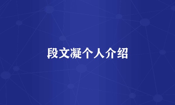 段文凝个人介绍