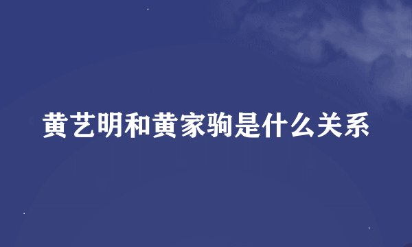 黄艺明和黄家驹是什么关系
