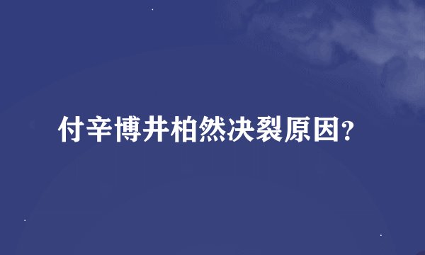 付辛博井柏然决裂原因？