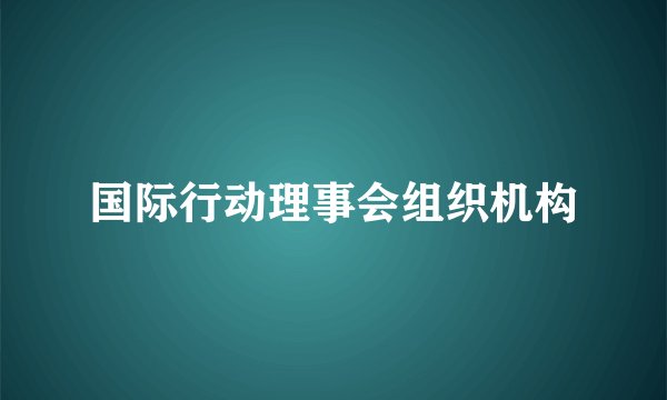 国际行动理事会组织机构