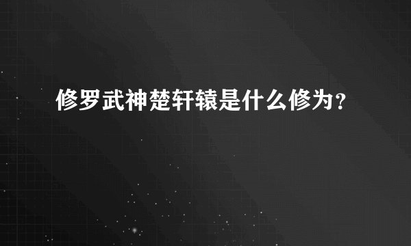修罗武神楚轩辕是什么修为？