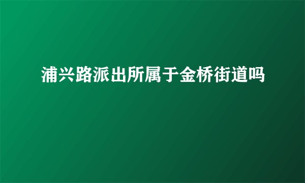 浦兴路派出所属于金桥街道吗