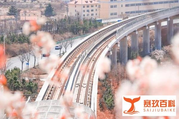 南宁买房可以免费坐10年地铁，建议济南和青岛都可以跟进这么做