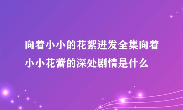 向着小小的花絮进发全集向着小小花蕾的深处剧情是什么