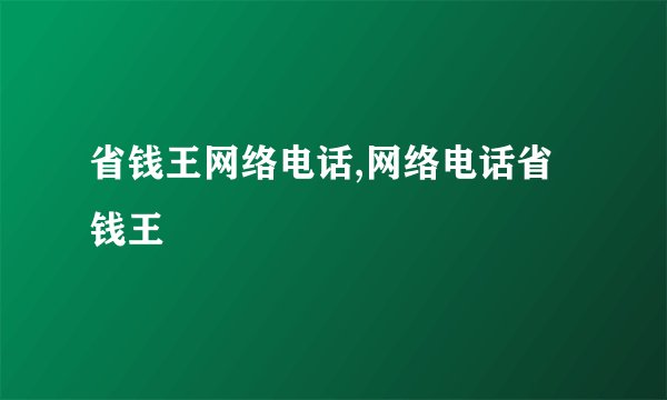 省钱王网络电话,网络电话省钱王