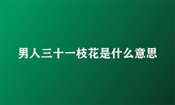 男人三十一枝花是什么意思