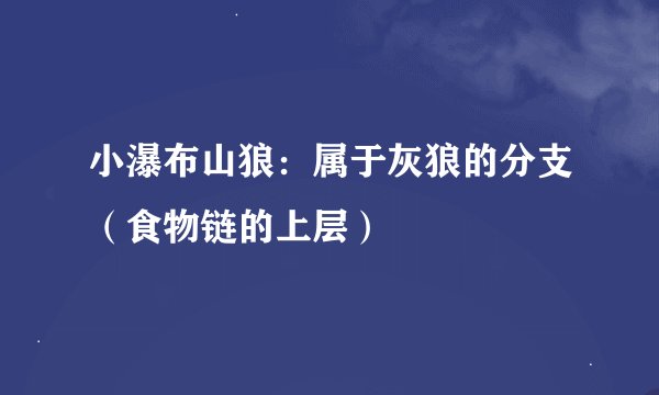 小瀑布山狼:属于灰狼的分支(食物链的上层)