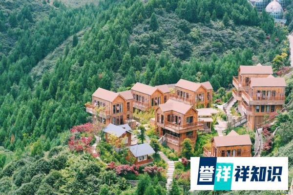 这个世界，没有真相