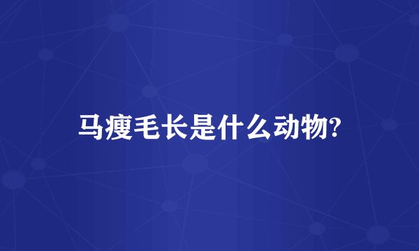 马瘦毛长是什么动物?
