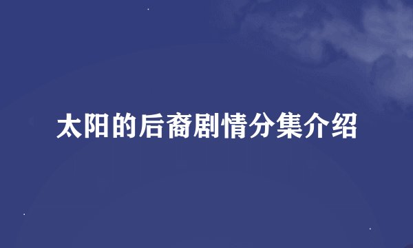 太阳的后裔剧情分集介绍