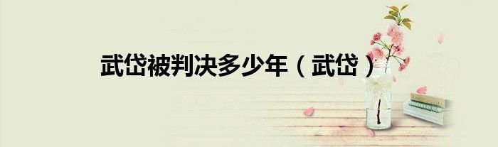 武岱被判决多少年（武岱）