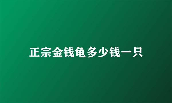 正宗金钱龟多少钱一只