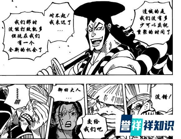 海贼王1008话汉化，凯多人兽形被丑哭，罗开始分兵解决两大四皇
