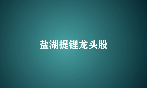盐湖提锂龙头股
