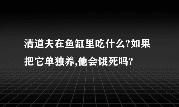 清道夫在鱼缸里吃什么?如果把它单独养,他会饿死吗?