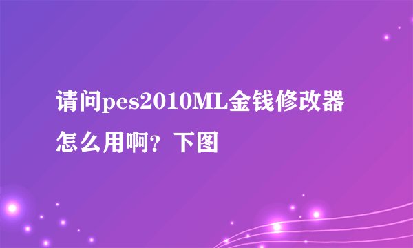 请问pes2010ML金钱修改器怎么用啊?下图