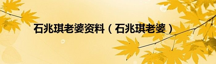 石兆琪老婆资料石兆琪老婆