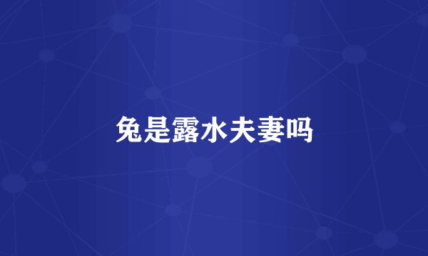 兔是露水夫妻吗