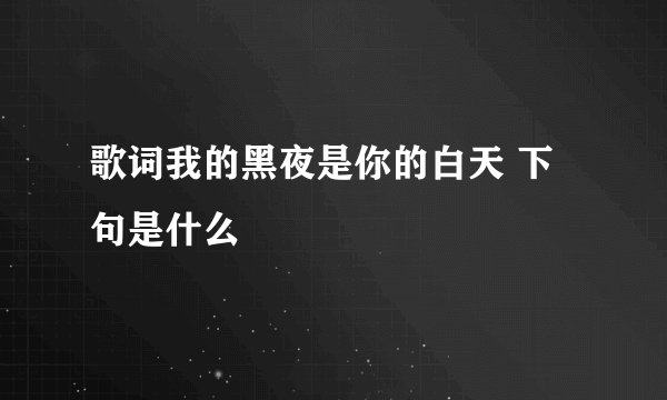 歌词我的黑夜是你的白天 下句是什么