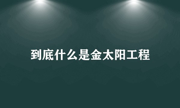 到底什么是金太阳工程