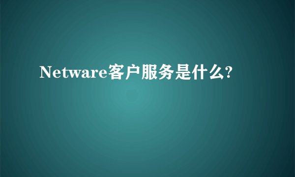 Netware客户服务是什么?