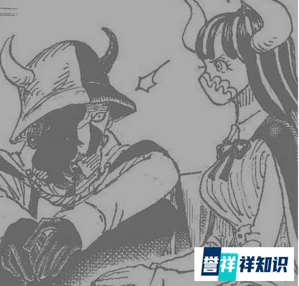 【海贼王】第978话情报:凌空六子全员登场,两大美女颜值赶超日和!