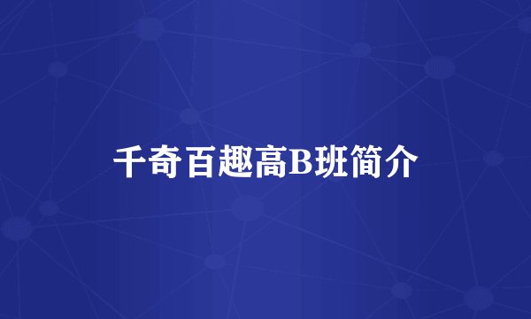千奇百趣高B班简介