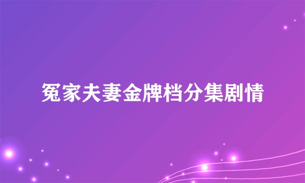 冤家夫妻金牌档分集剧情