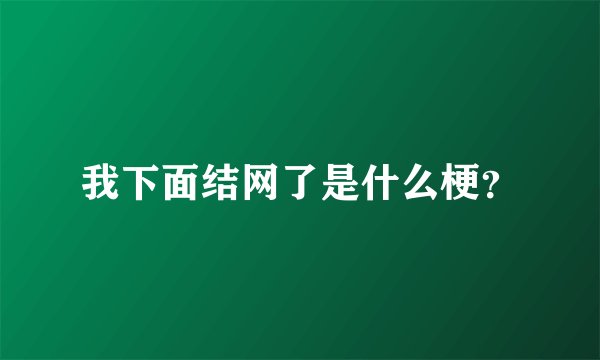 我下面结网了是什么梗？