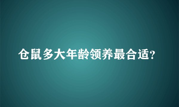 仓鼠多大年龄领养最合适？