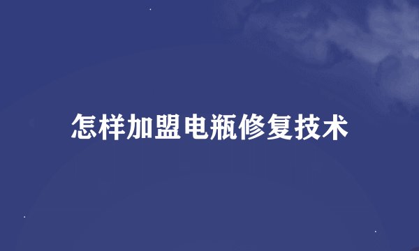 怎样加盟电瓶修复技术