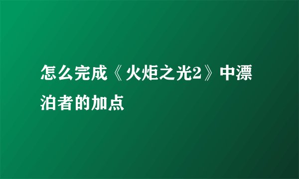 怎么完成《火炬之光2》中漂泊者的加点