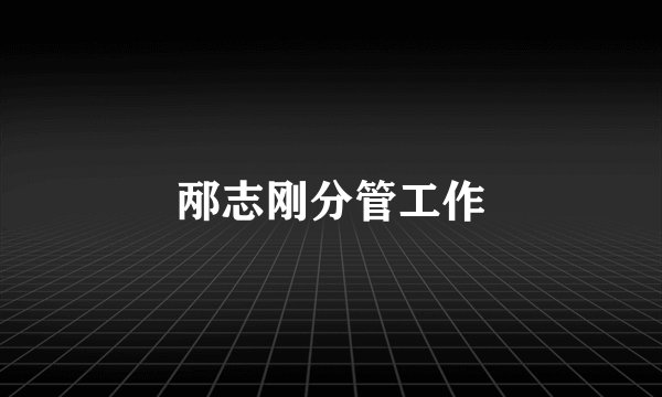 邴志刚分管工作