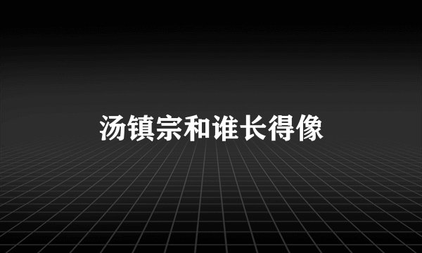 汤镇宗和谁长得像