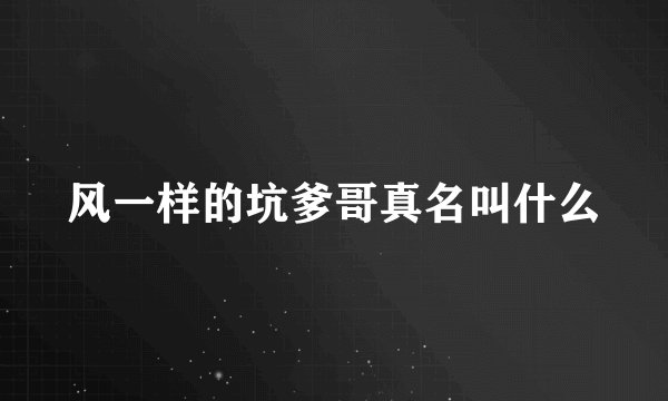 风一样的坑爹哥真名叫什么