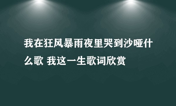我在狂风暴雨夜里哭到沙哑什么歌 我这一生歌词欣赏