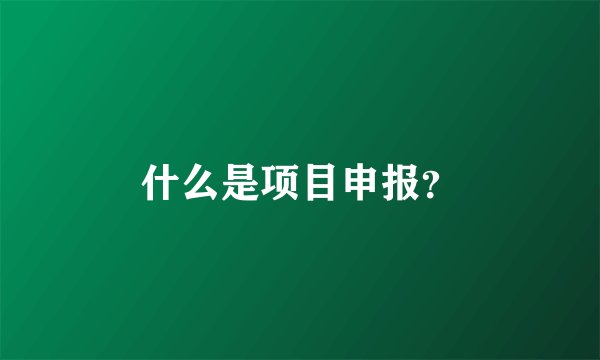 什么是项目申报?