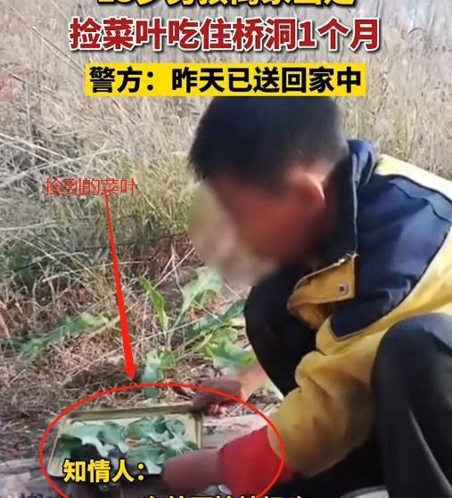 泪奔!13岁孩子离家出走一个月,捡菜叶住桥洞,原因竟是父母离异！